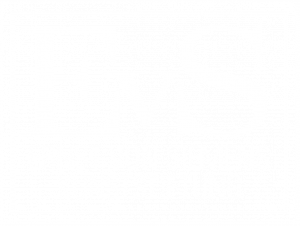 Ernst von Siemens Kunststiftung Logo